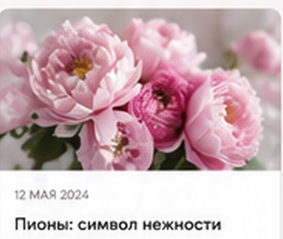 Макросъёмка цветка